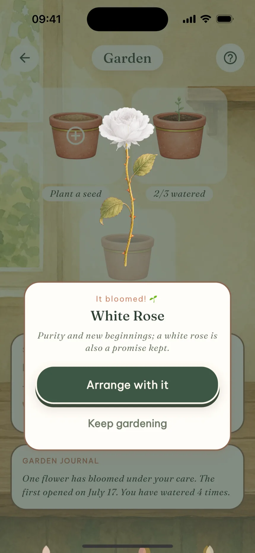 The Bloomette garden screen: a white rose has just bloomed among clay pots.